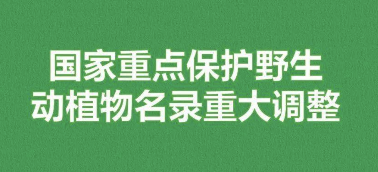 重磅！新版國(guó)家重點(diǎn)保護(hù)野生植物名錄公布，58種/屬列入一級(jí)保護(hù)，值得收藏