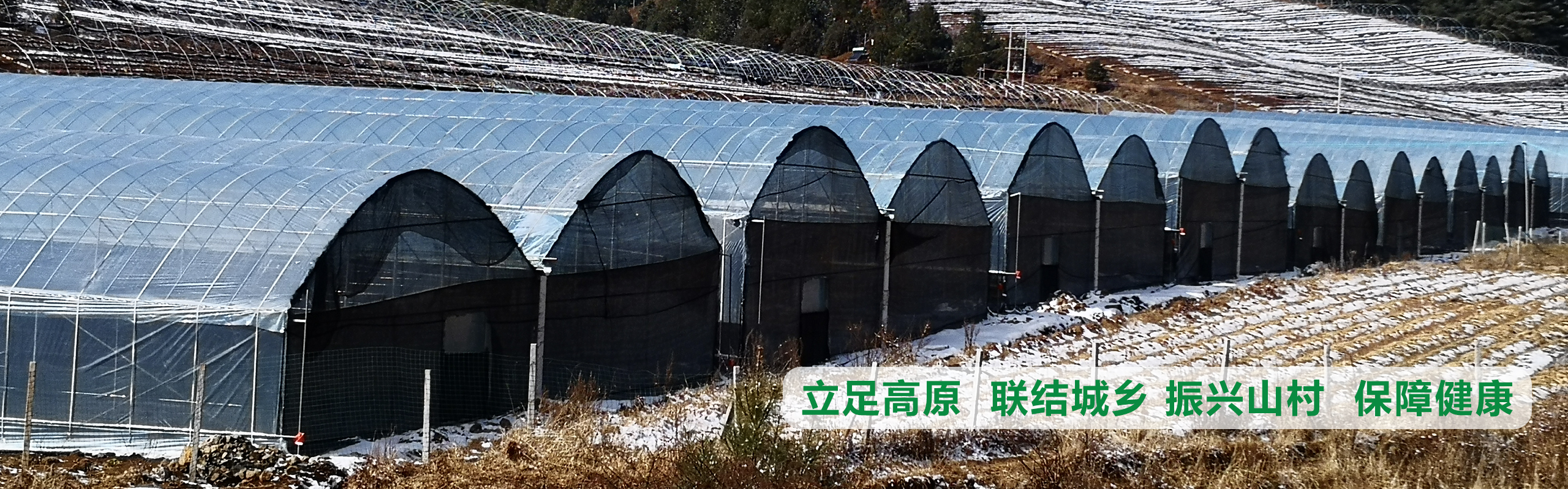 立足高原、聯(lián)結(jié)城鄉(xiāng)、振興山村、保障健康